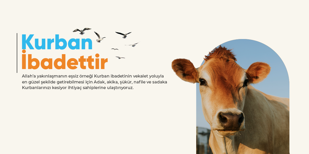 Kurban Organizasyonu