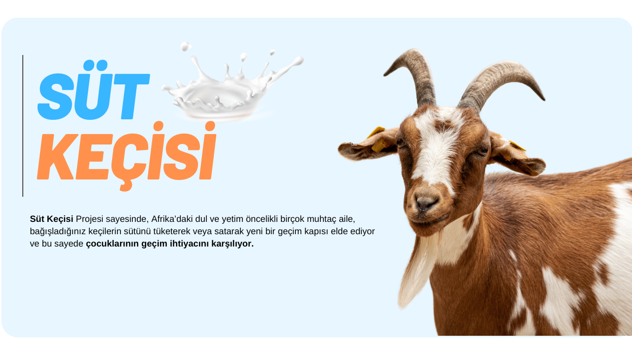 SÜT KEÇİSİ